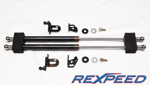 Rexspeed GTR R35 Carbon Hood Dampers - US Spec